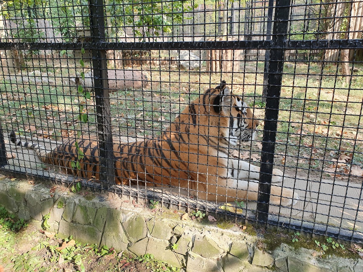 Gradina Zoologica Bucuresti