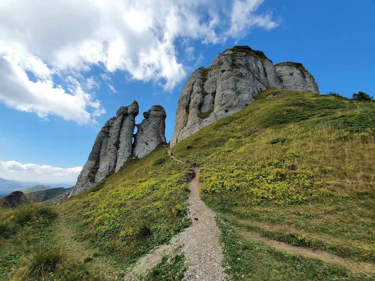 Rezervația Tigăile Mari Munții Ciucaș