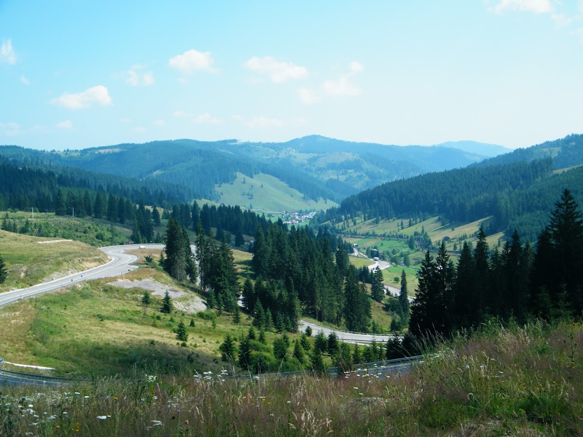 Mestecăniș Pass