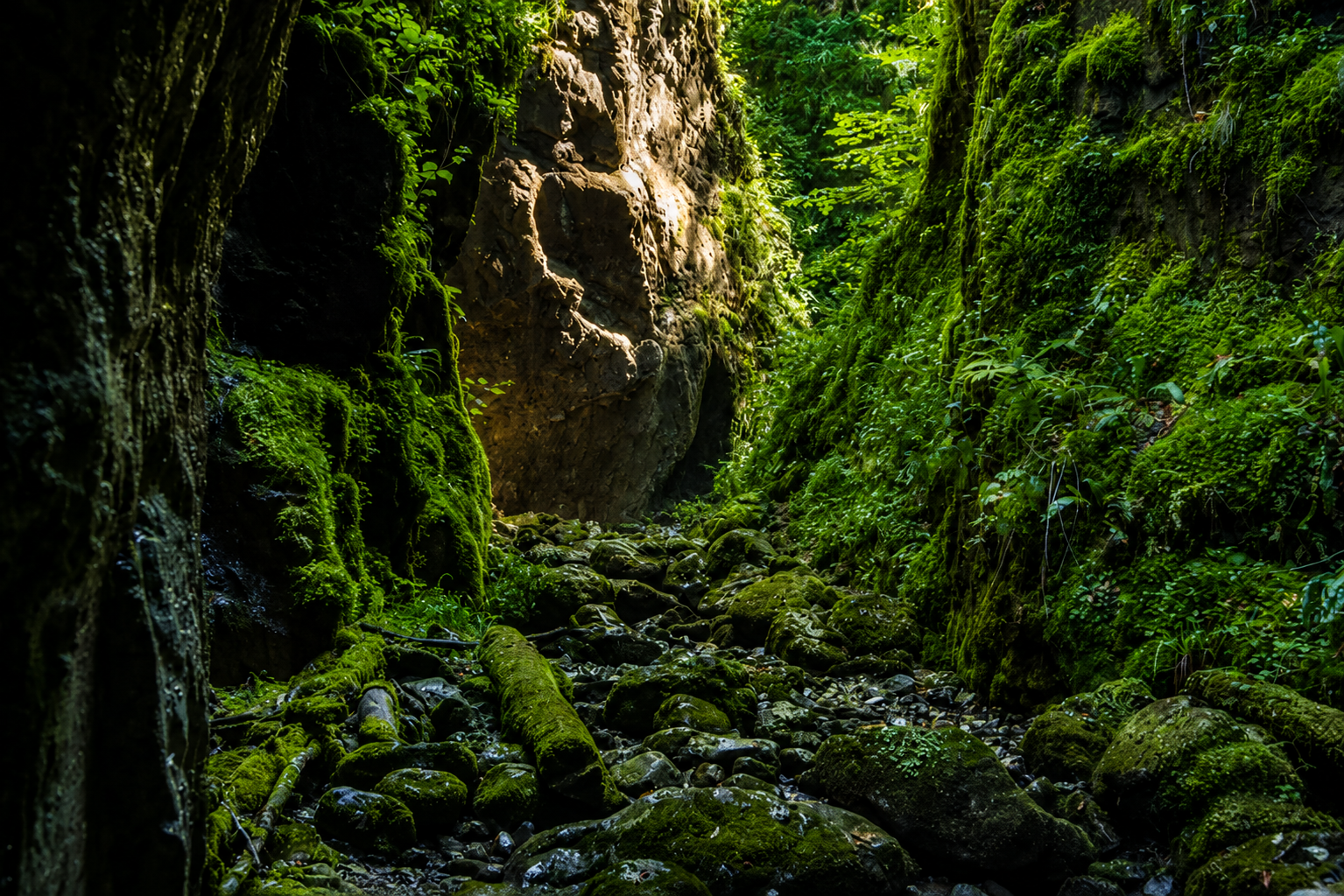 Cheile Sighistelului — 2