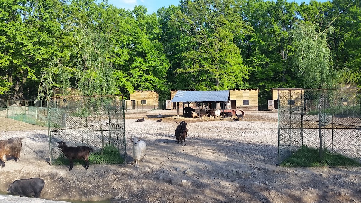 Gradina Zoologica Pitesti