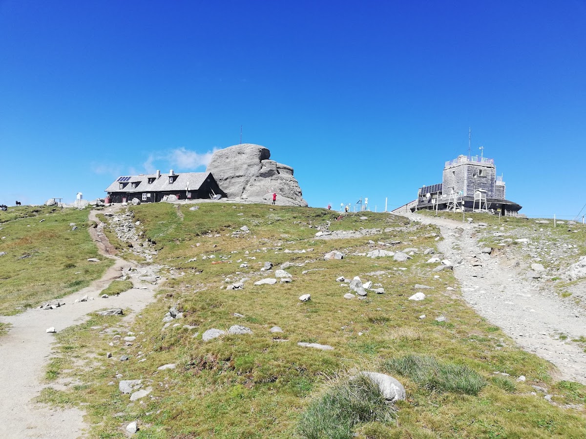 Vârful Omu