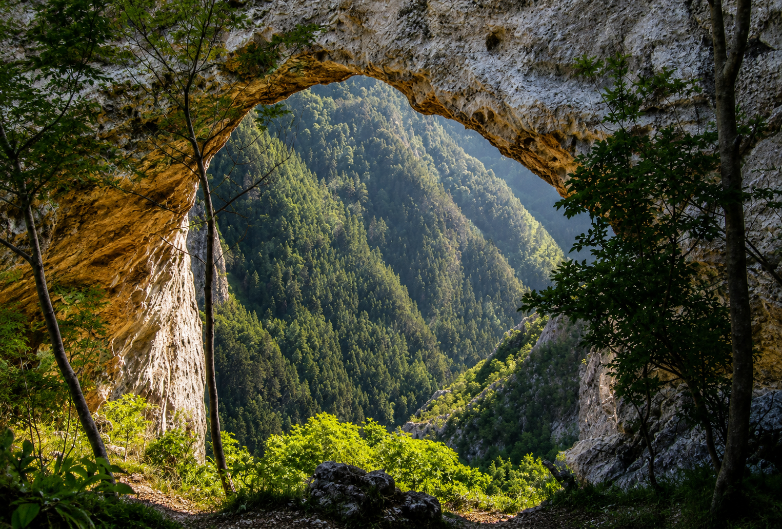 Cheile Intregalde — 2