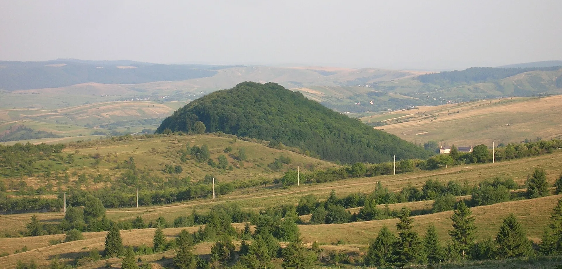 Codrii de Aramă și Pădurea de Argint