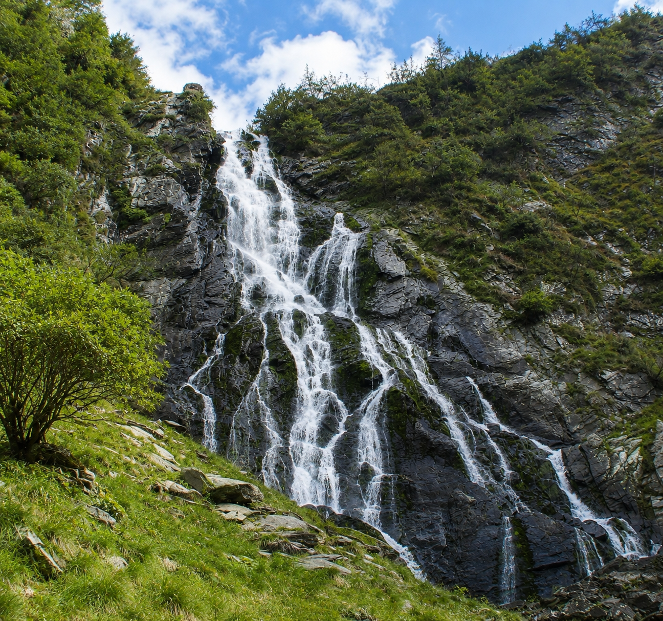 Cascada Capra Transfagarasan
