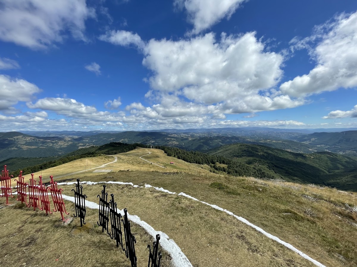 Vârful Găina (Muntele Găina)