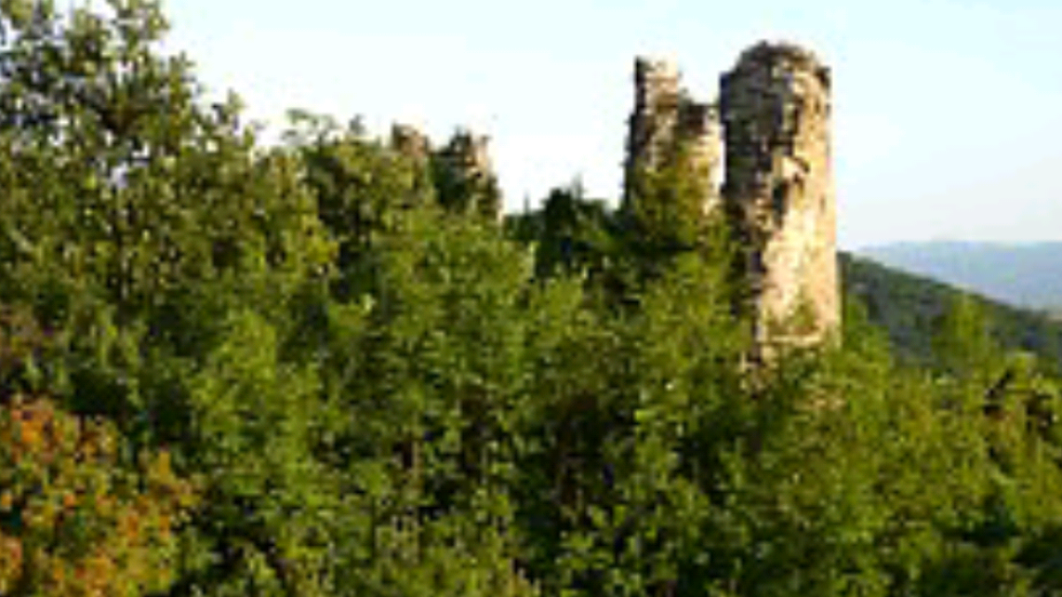 Castelul Dezna