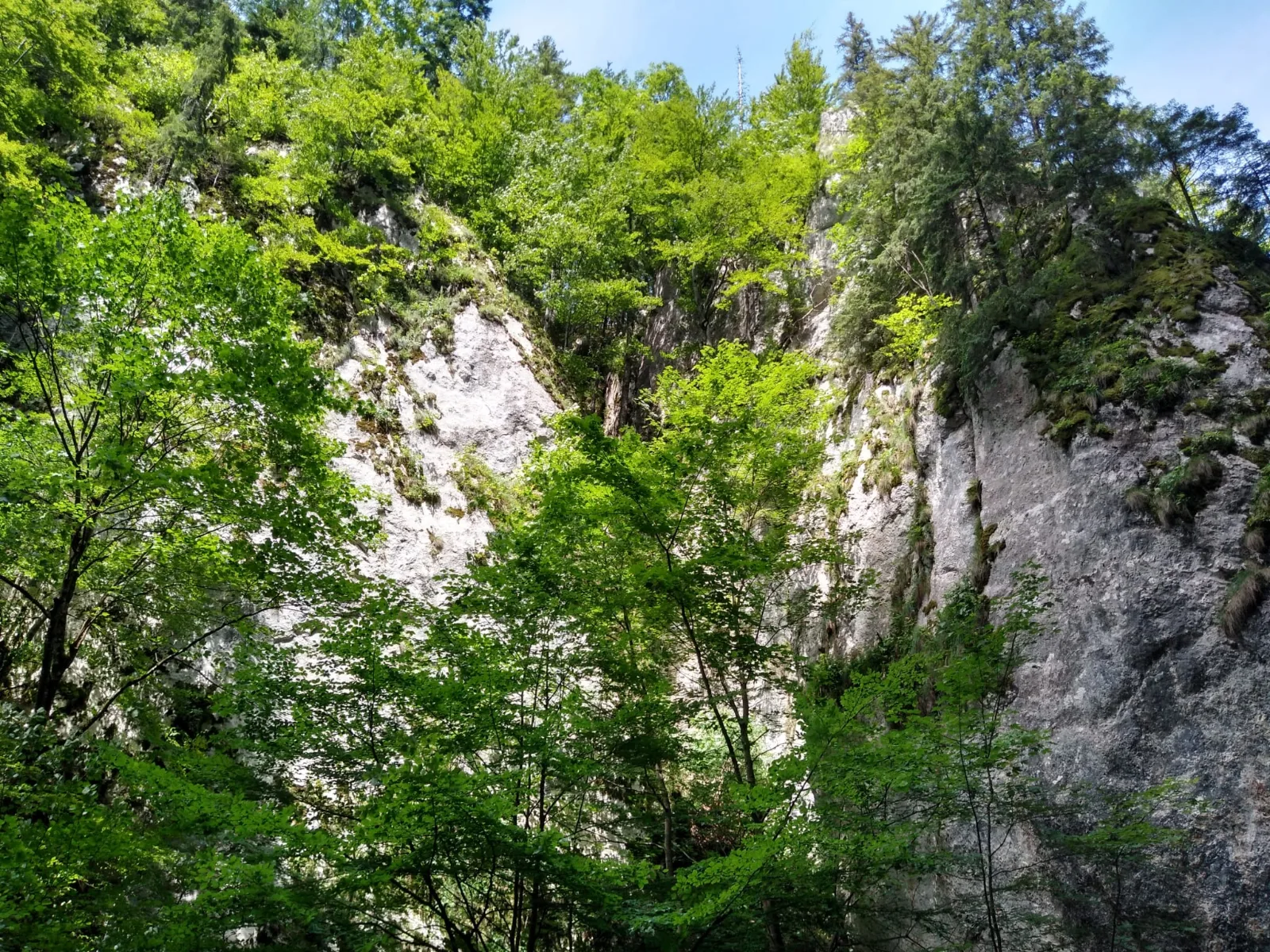 Prăpăstiile Zărneștiului — 3