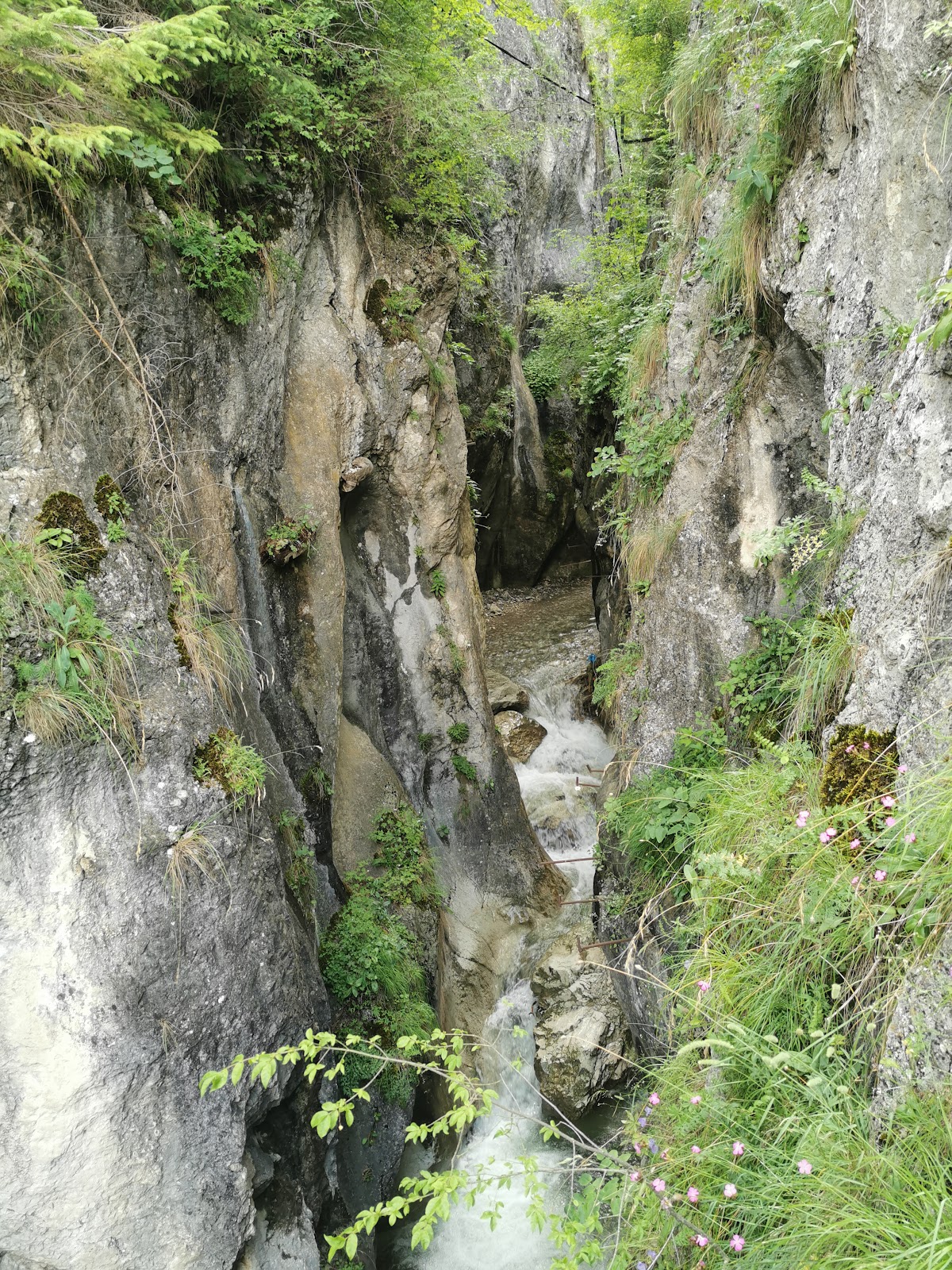 Cheile Șugăului Munticelu