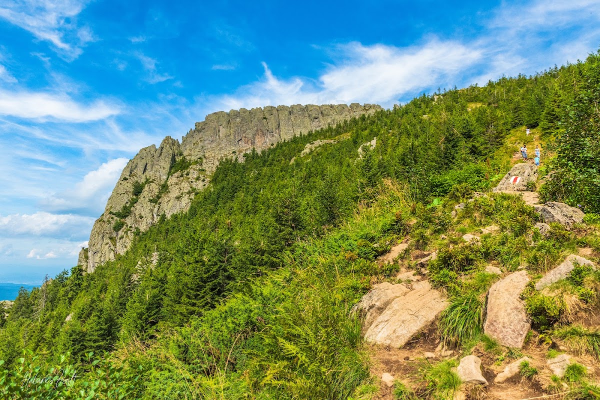Creasta Cocoșului Nature Reserve