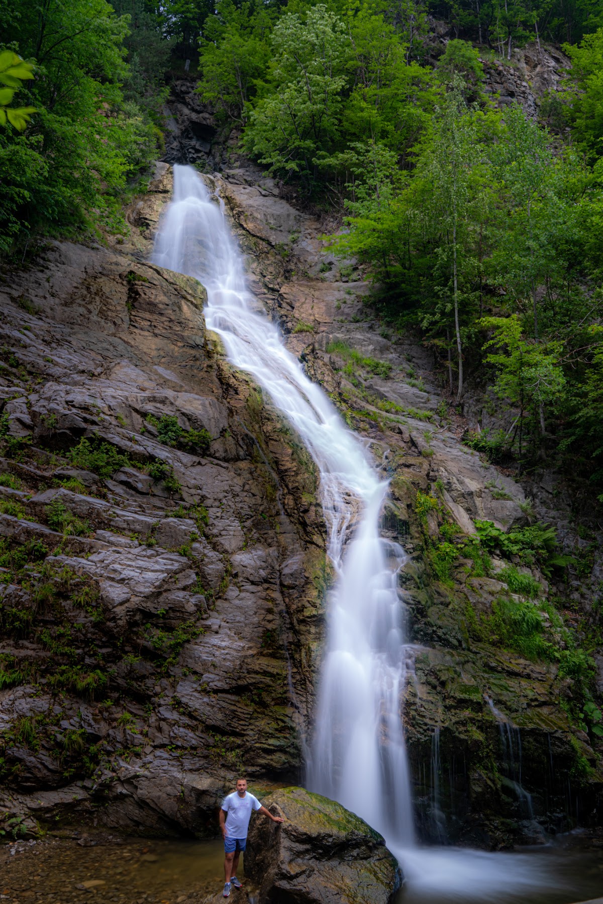 Cascada Lotrișor