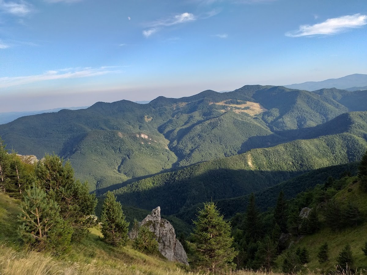 Muntii Vrancei