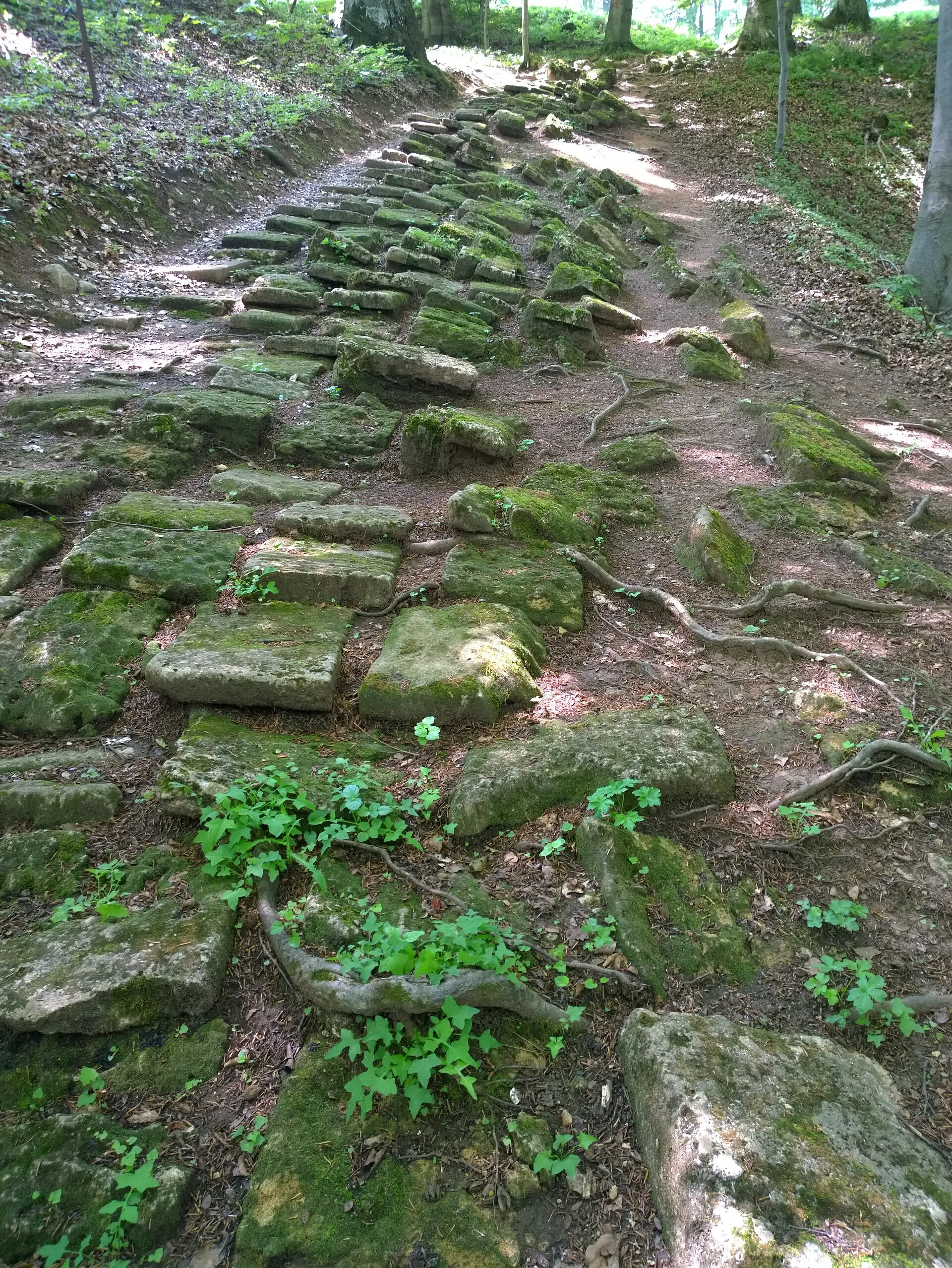Luncani-Piatra Roșie Dacian Fortress