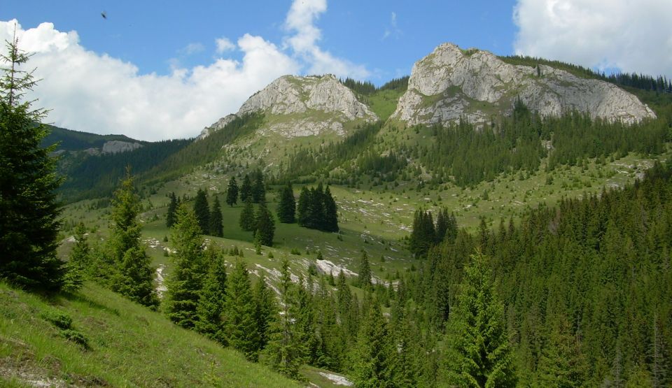 Muntii Zarandului