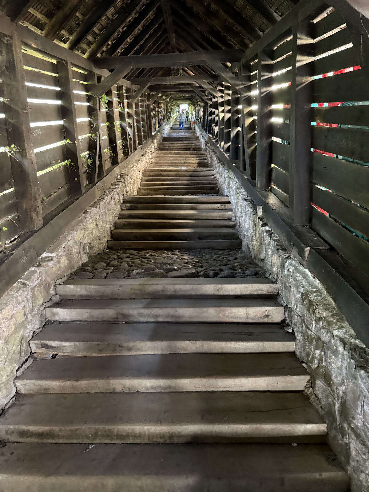 Covered Stairs, Sighișoara