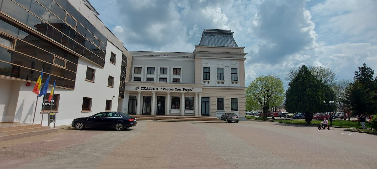 Orasul Barlad