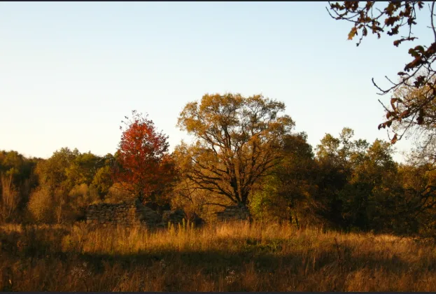 Pădurea Bârnova-Repedea (sit Natura 2000)