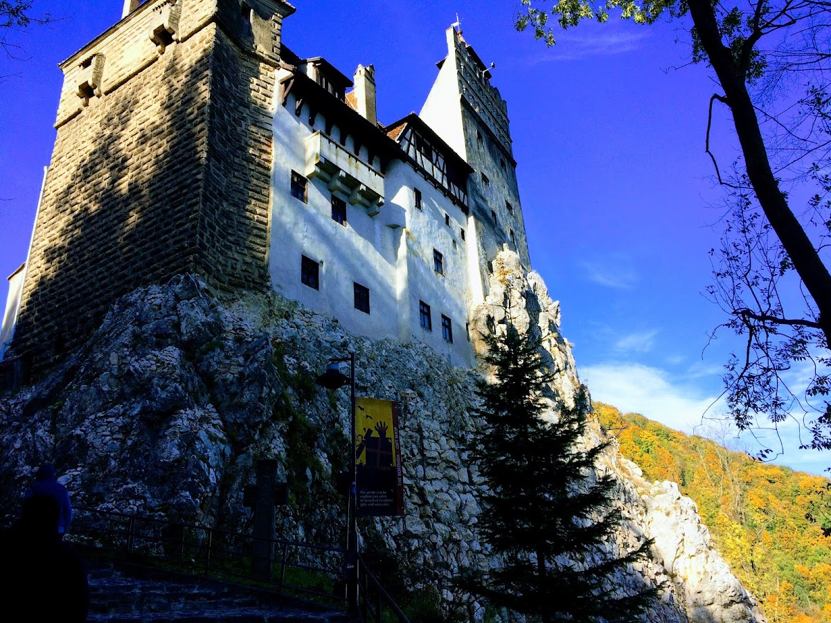 Castelul Bran