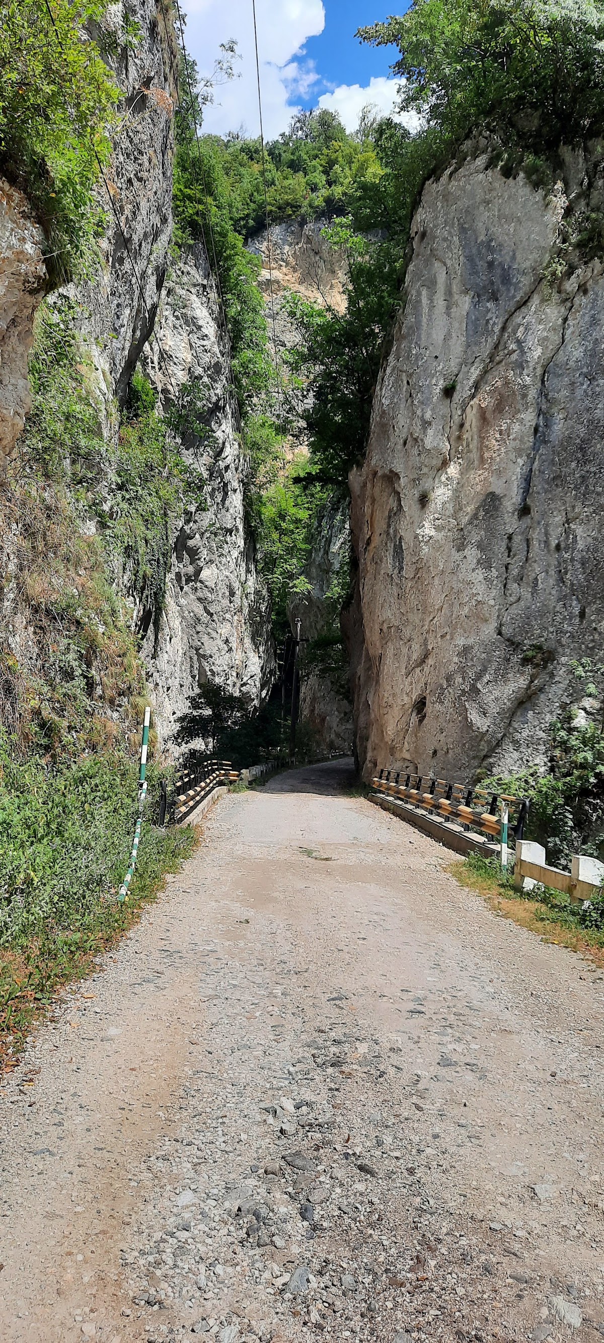 Cheile Bistritei