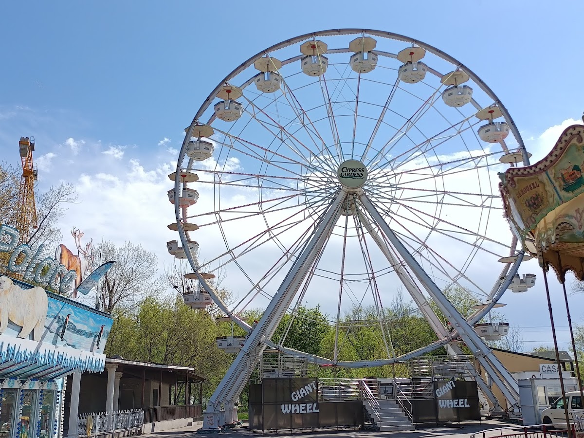 Mamaia statiune