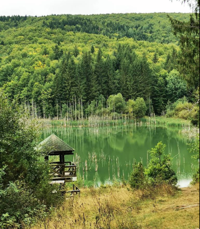 Lacul Cuejdel