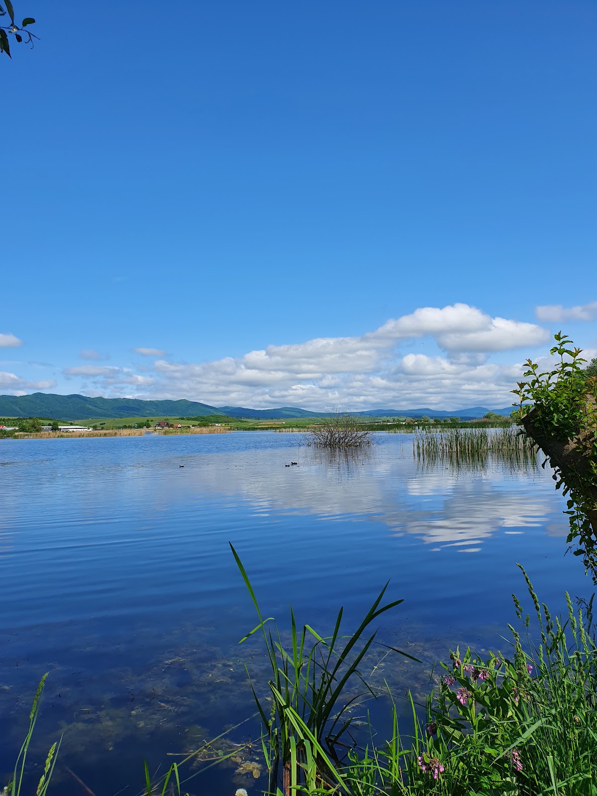 Lacul Rotbav