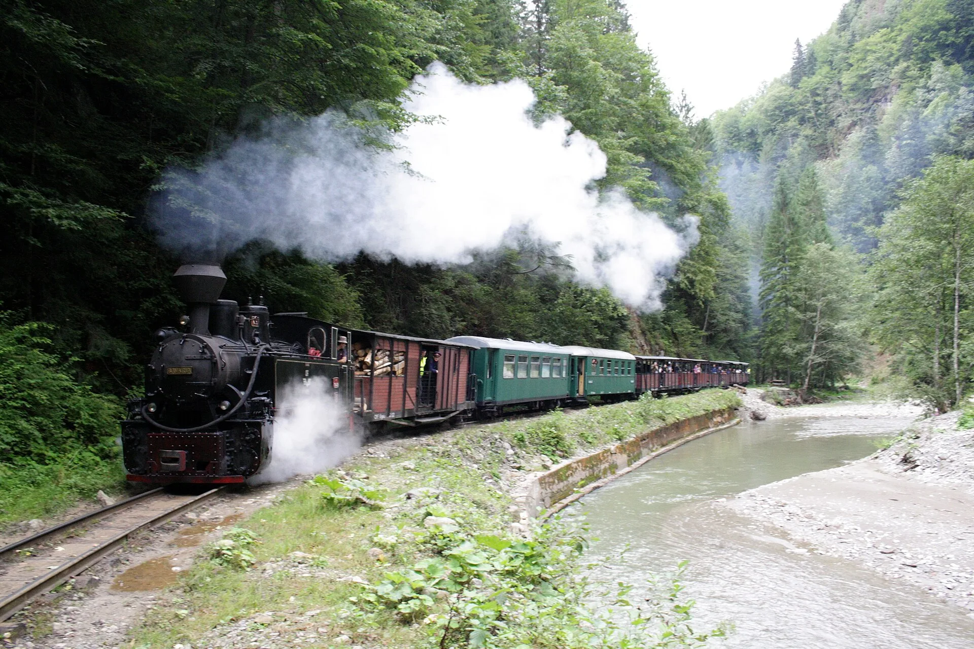 Vaser Valley Mocănița