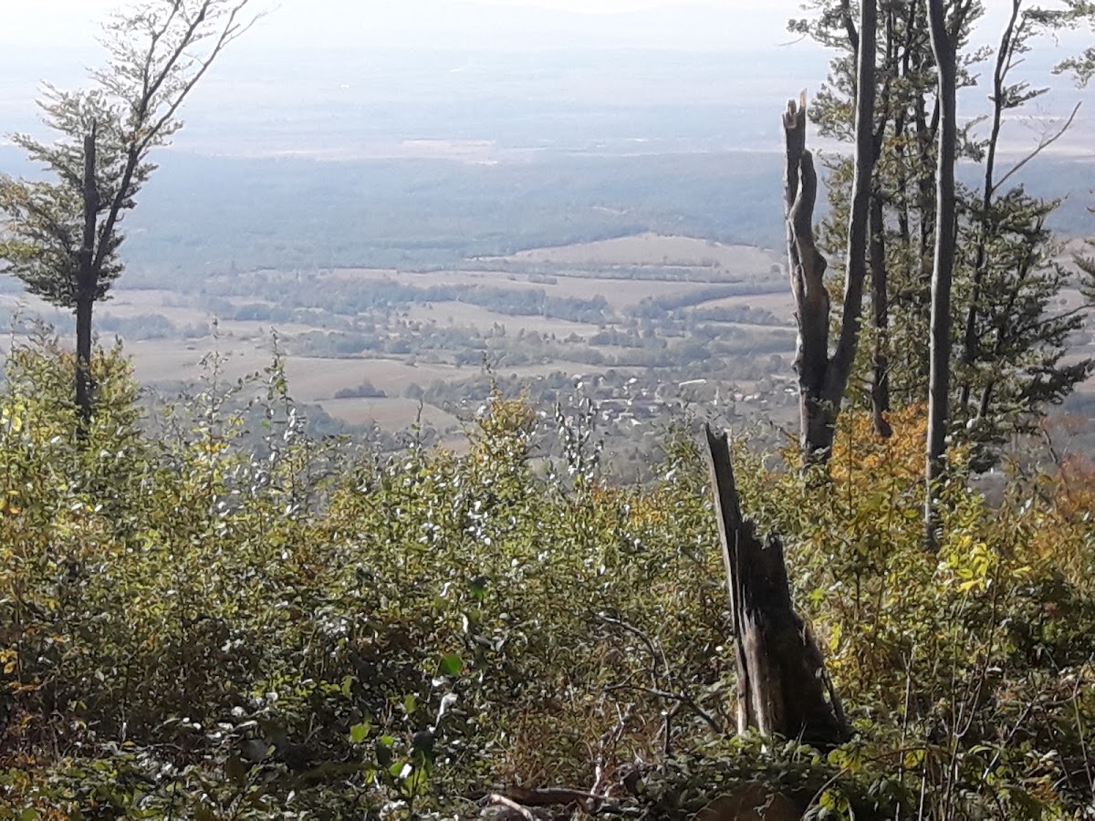 Muntii Codru-Moma