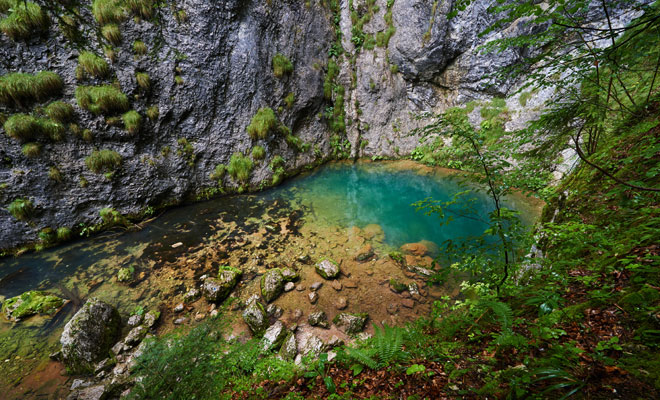 Izbucul Tăuzului