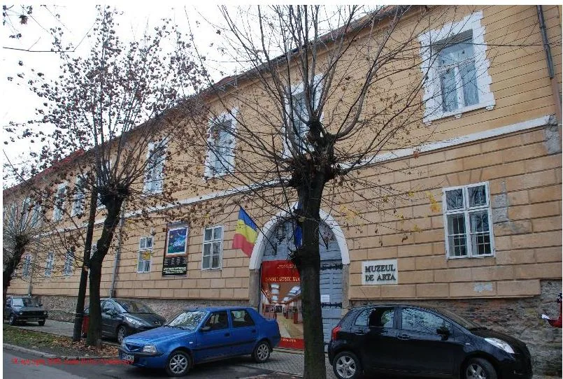 Baia Mare Art Museum (Baia Mare Artistic Centre County Art Museum)