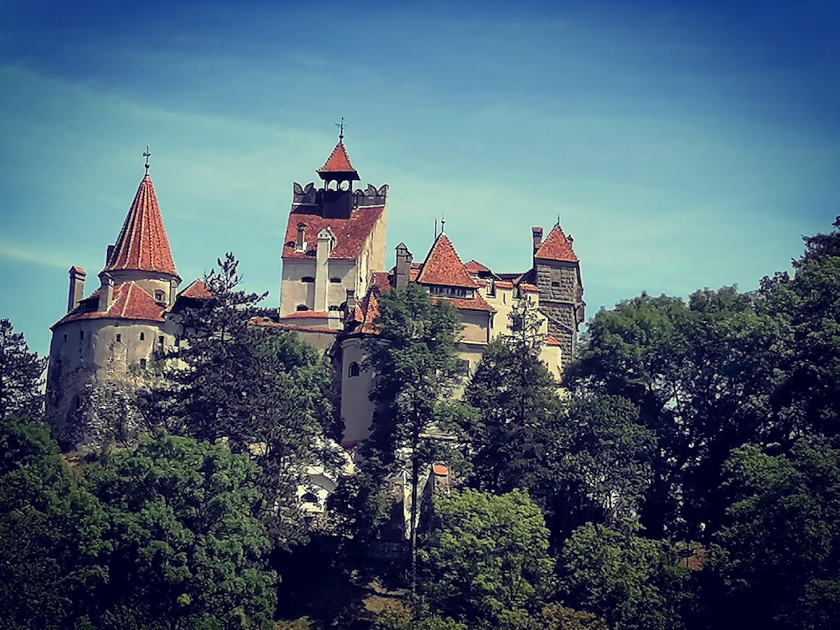 Parcul Natural Piatra Mare