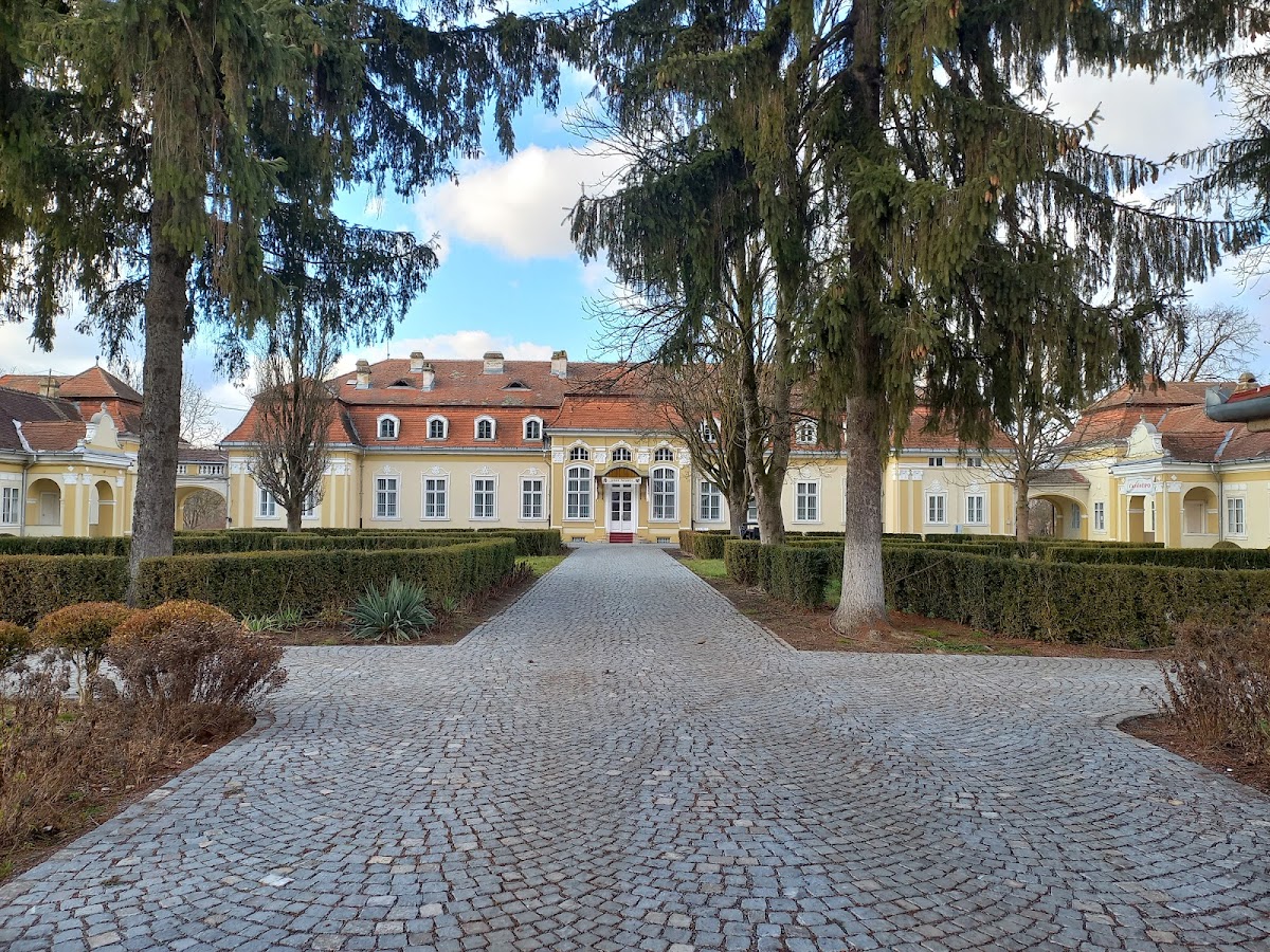 Castelul Teleki din Dumbrăvioara