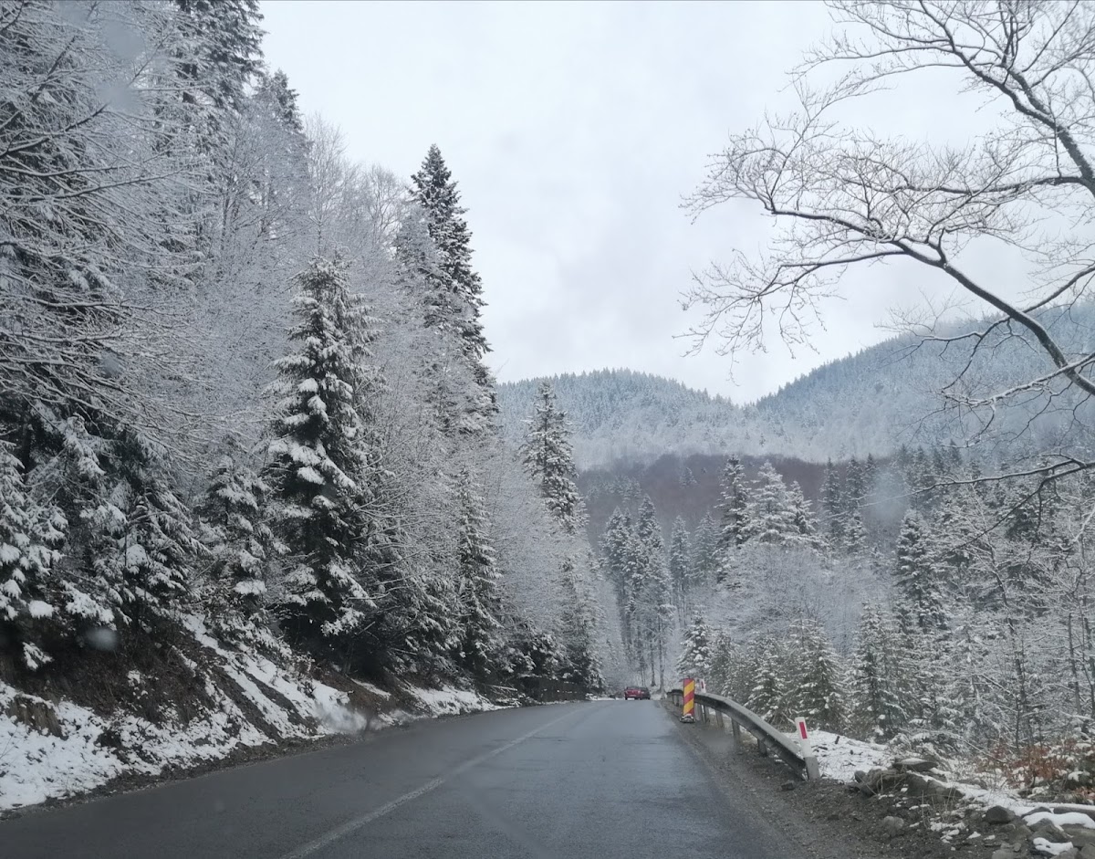 Rezervația Bratocea