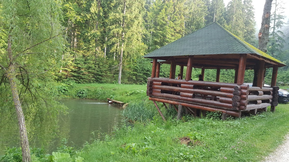 Timișu de Sus