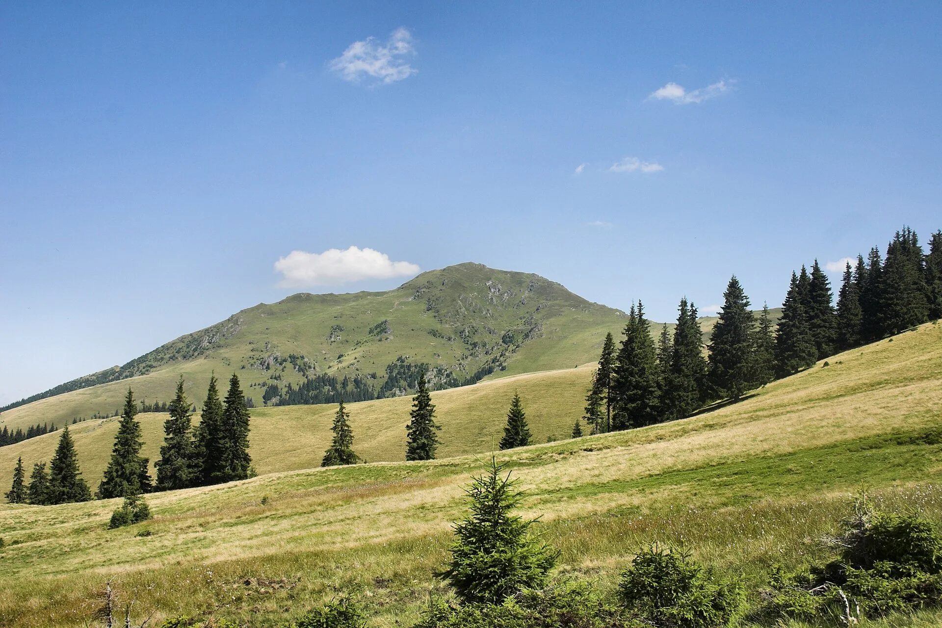 Farcău Peak