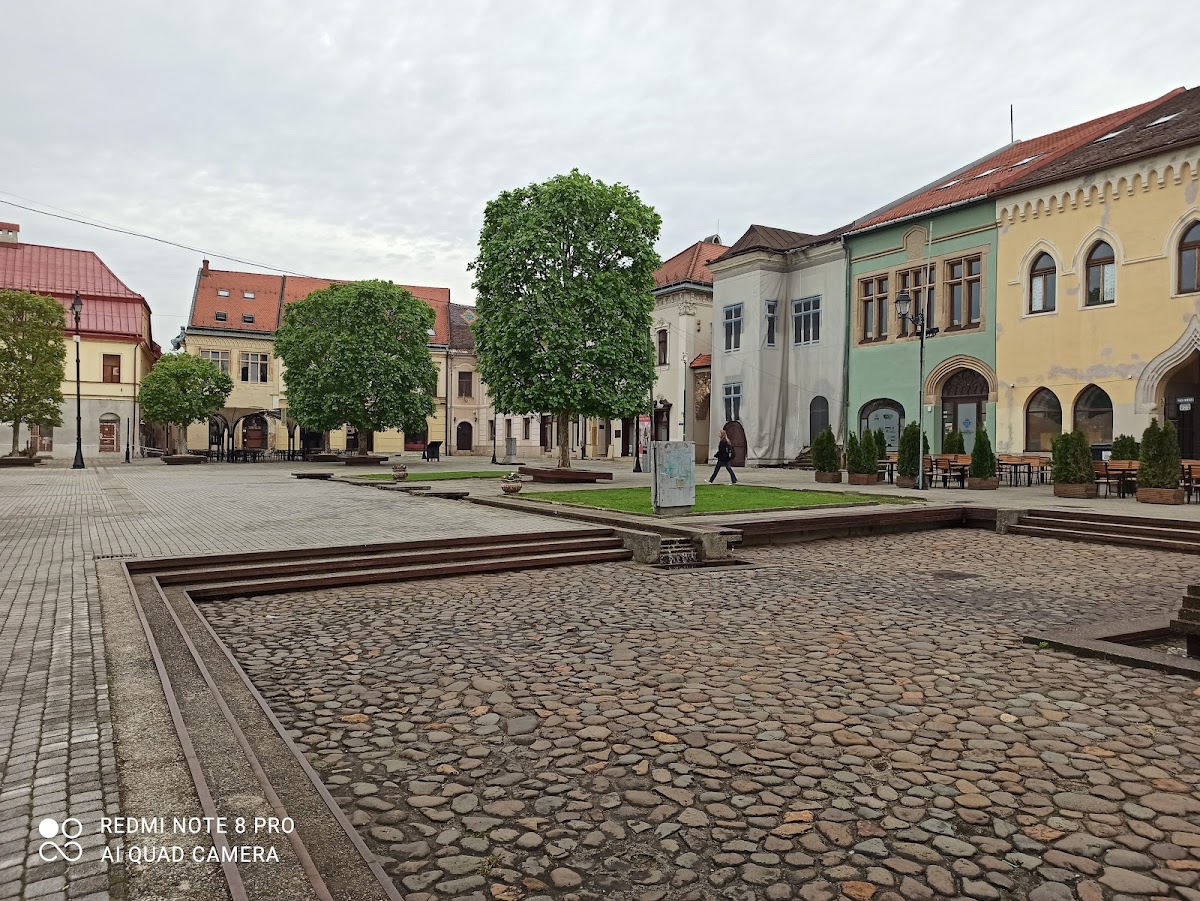 Baia Mare Historic Centre