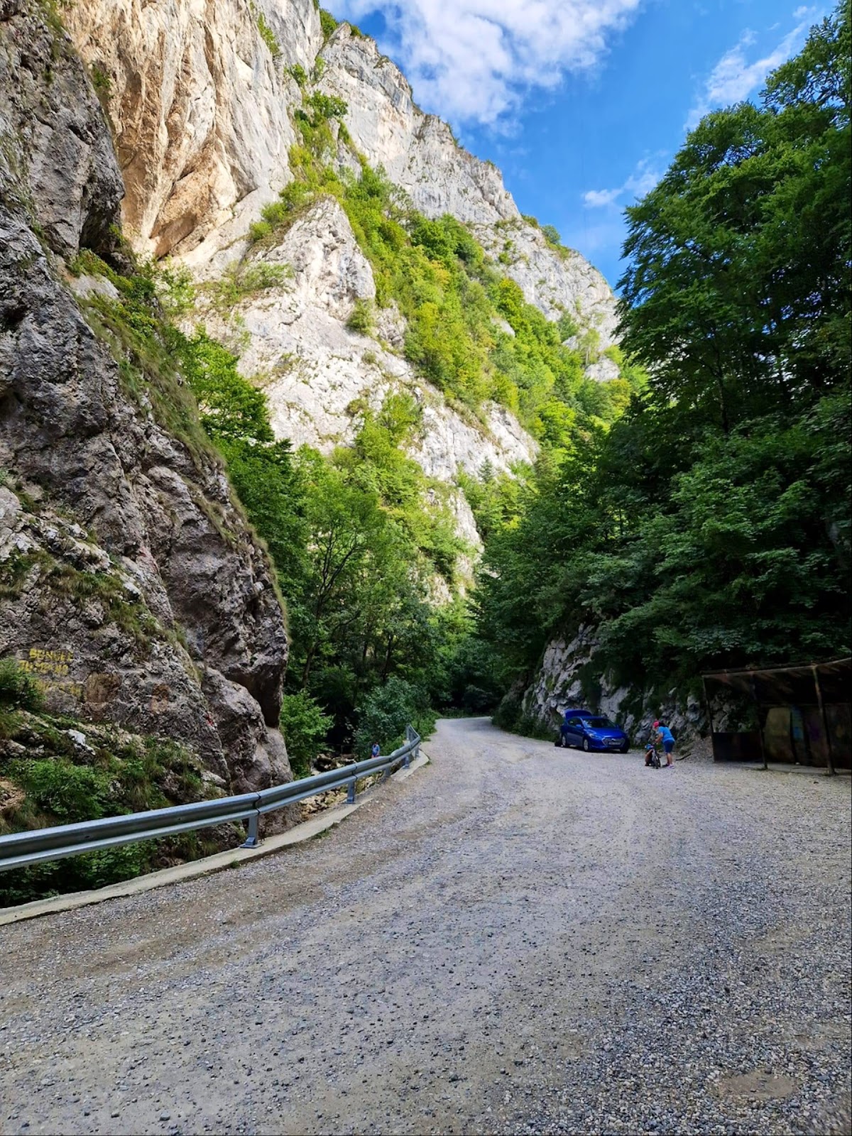 Cheile Râșnoavei