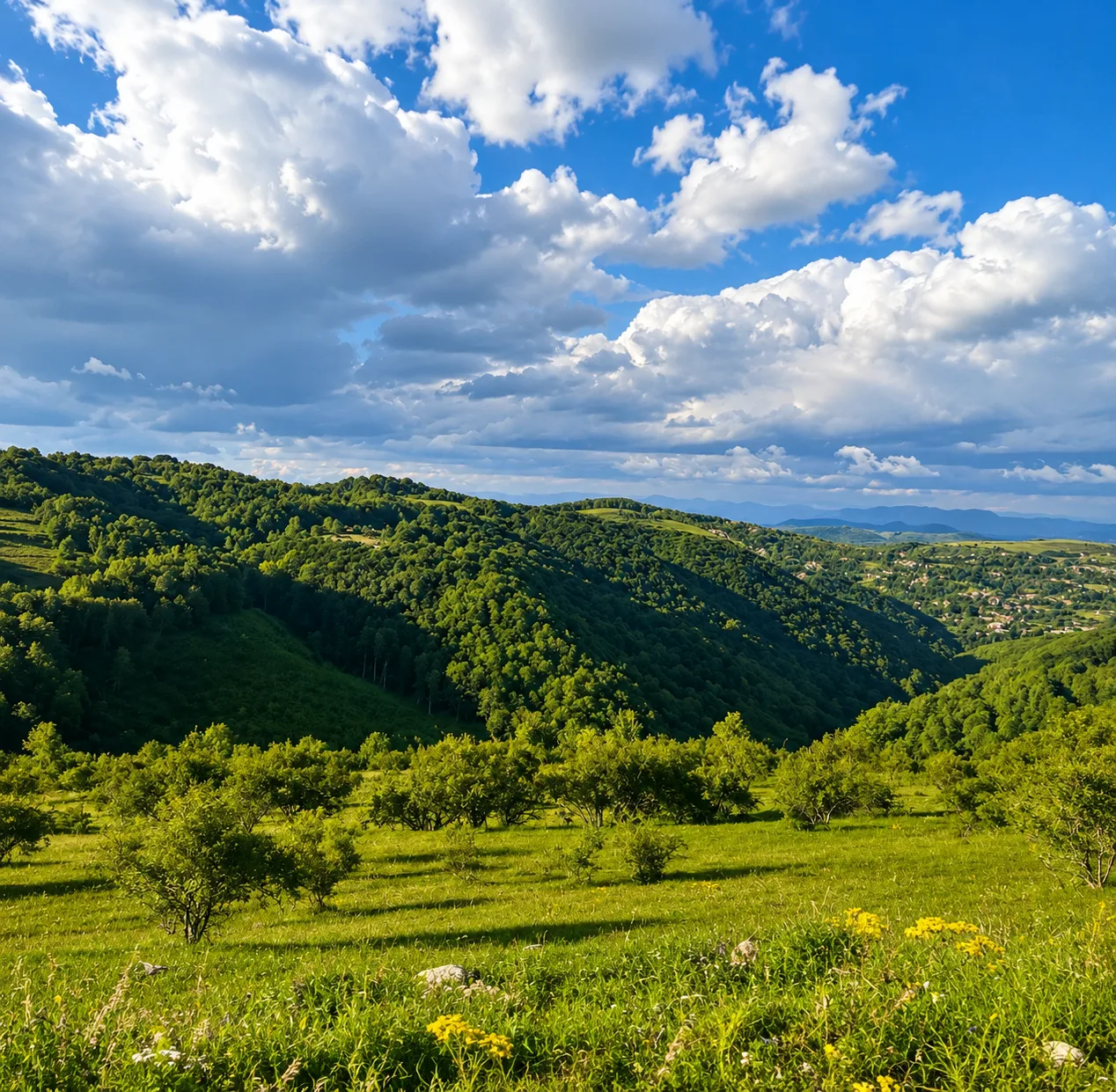 Ținutul Pădurenilor