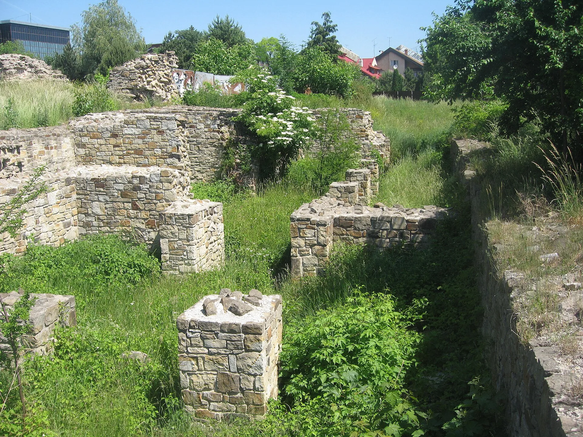 Ruins of the Princely Court of Suceava