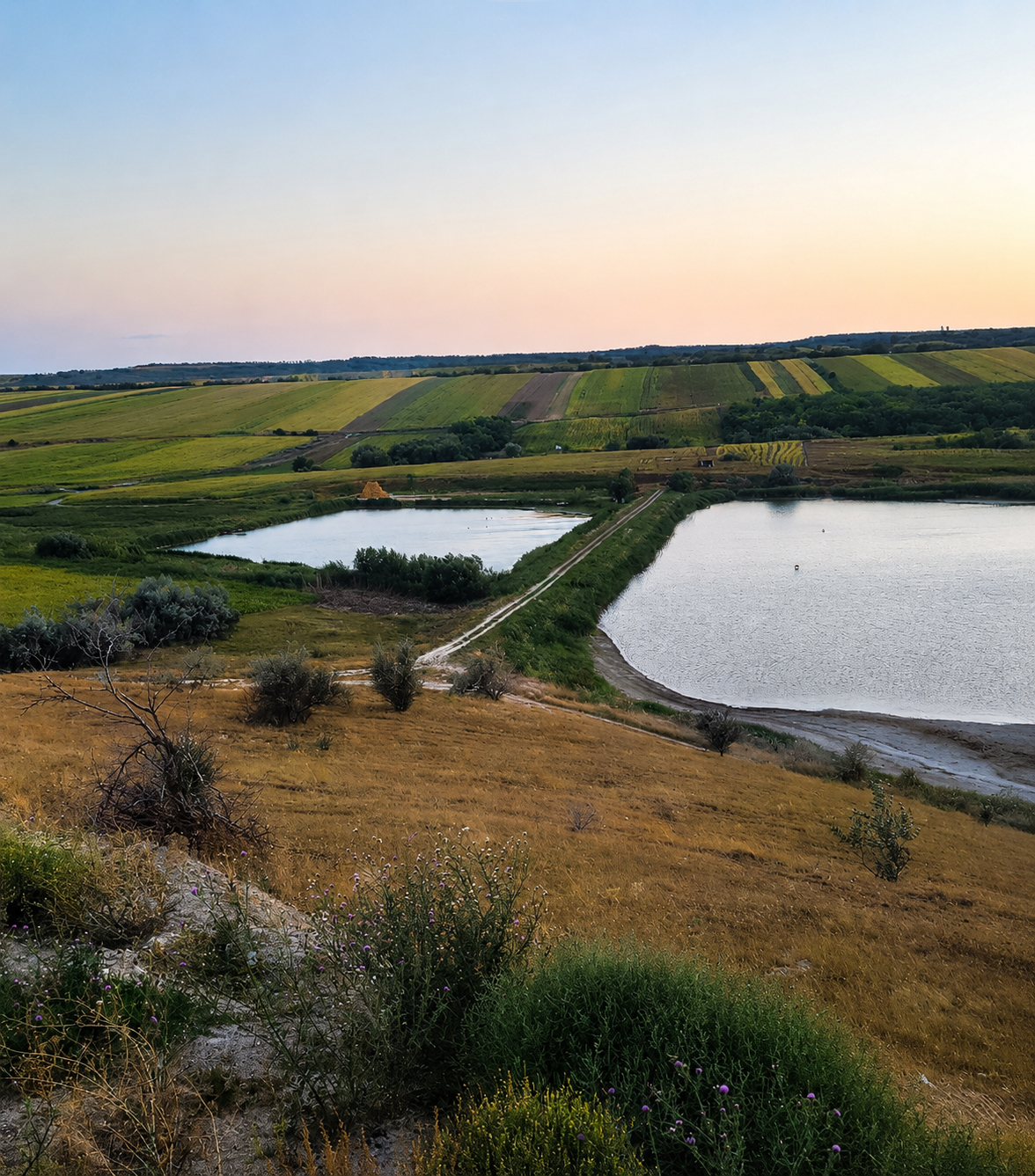 Rezervația Naturală Coasta Rupturile -Tanacu
