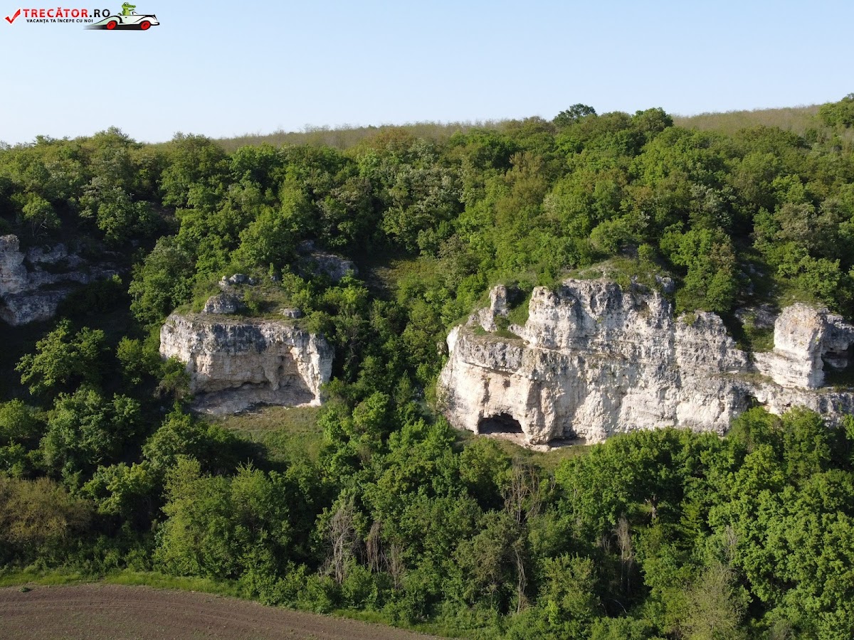 Rezervatia Naturala Padurea Canaraua Fetii