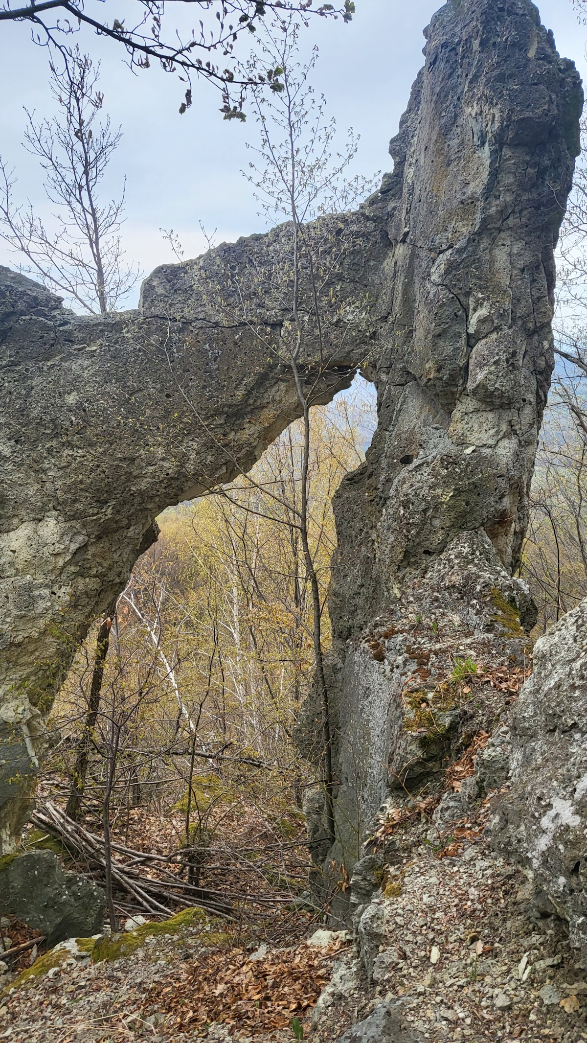 Cetatea Ciceului