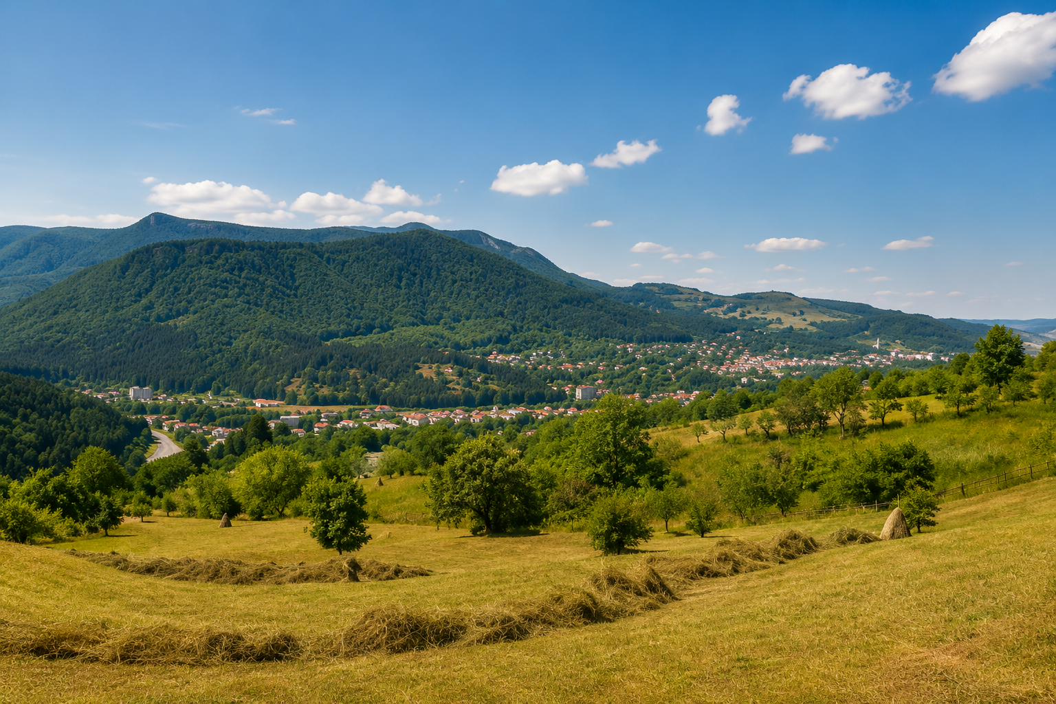 Situl Natura 2000 Soveja