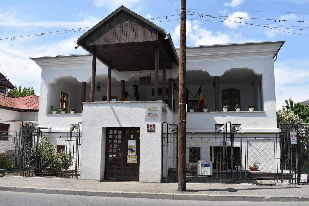 Conacul Vergu Manaila