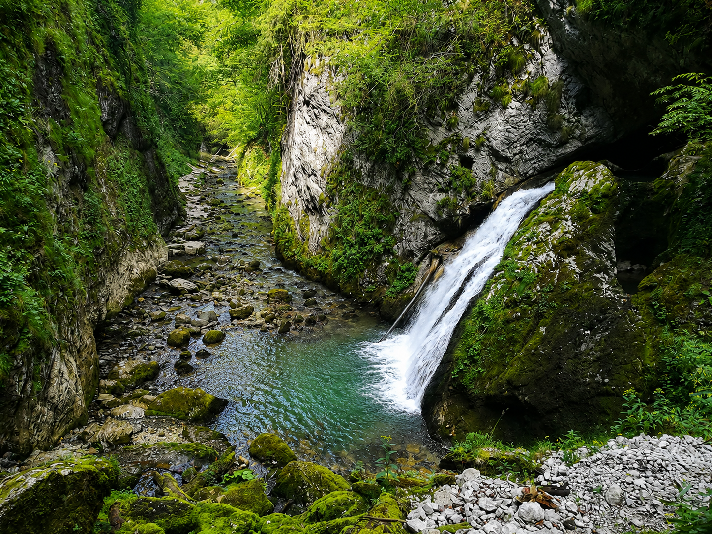 Platoul carstic Padiş