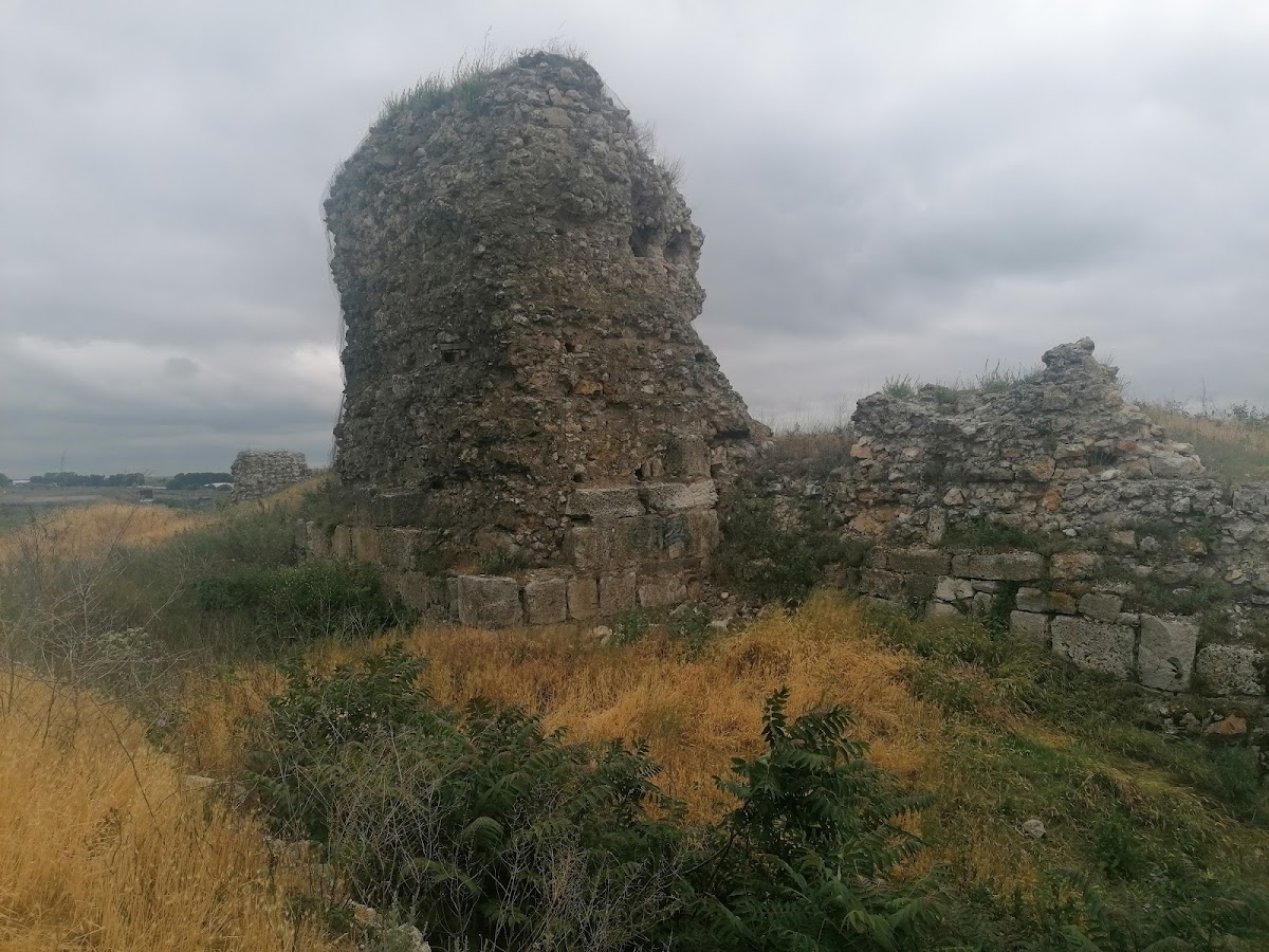 Cetatea Carsium