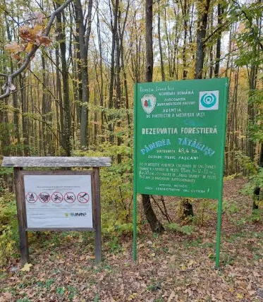 Pădurea Tătăruși Nature Reserve