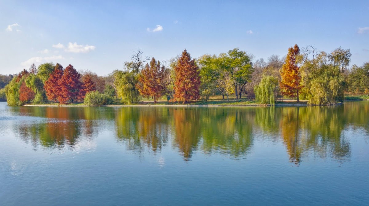 Parcul Tineretului