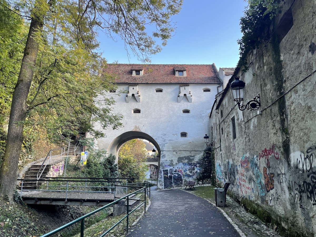Dealul Romurilor (Warthe) și Bastionul Graft