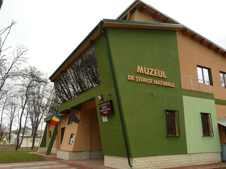 Muzeul de Științe Naturale Roman